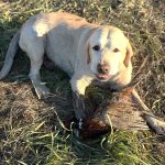 Our Outdoors: A Wet Reminiscence — NewsDakota, Ponte Vedra Beach Sports news