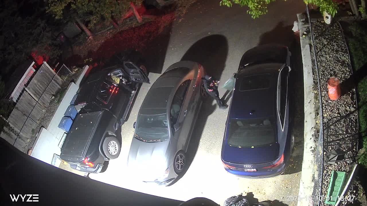 Juvenile window-smashing suspects caught on camera in south Minneapolis — KSTP 5, Ponte Vedra Beach Real Estate news