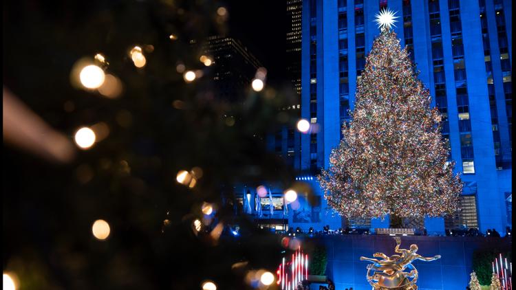 Rockefeller Center’s 2026 Christmas tree has been chosen. Here’s what to know — First Coast News Life JAX, Ponte Vedra Beach Community news