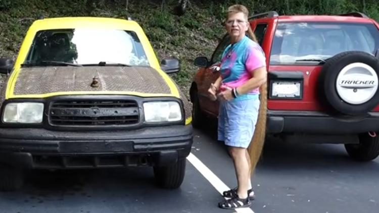 Tennessee woman holds the world record for the longest mullet — First Coast News Life JAX, Ponte Vedra Beach Community news