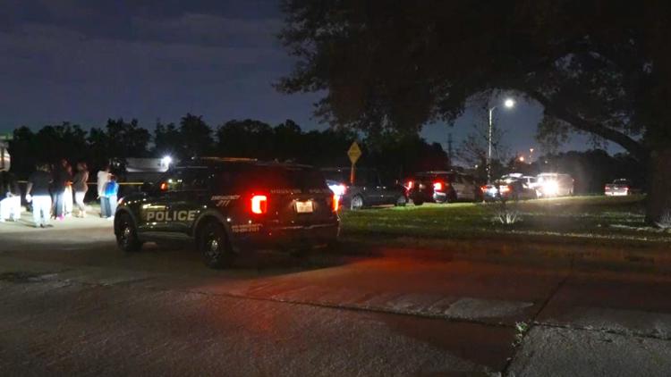 HPD: Man dies after going for swim in Sims Bayou in southeast Houston — KHOU 11 (Houston), Ponte Vedra Beach Sports news