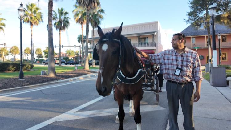 St. Augustine horse-drawn carriages get three-year extension after contentious vote ā First Coast News Local, Ponte Vedra Beach Government news