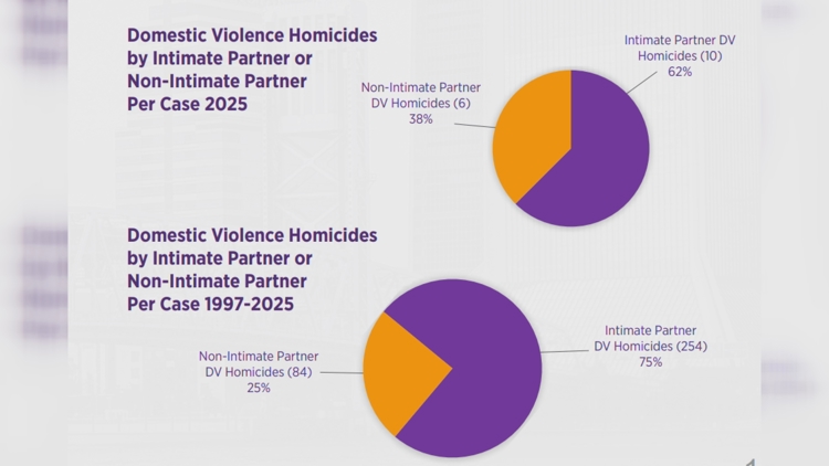 Duval County domestic violence review finds 21 deaths, highlights mental health and firearm risks — First Coast News Local, Ponte Vedra Beach Health news