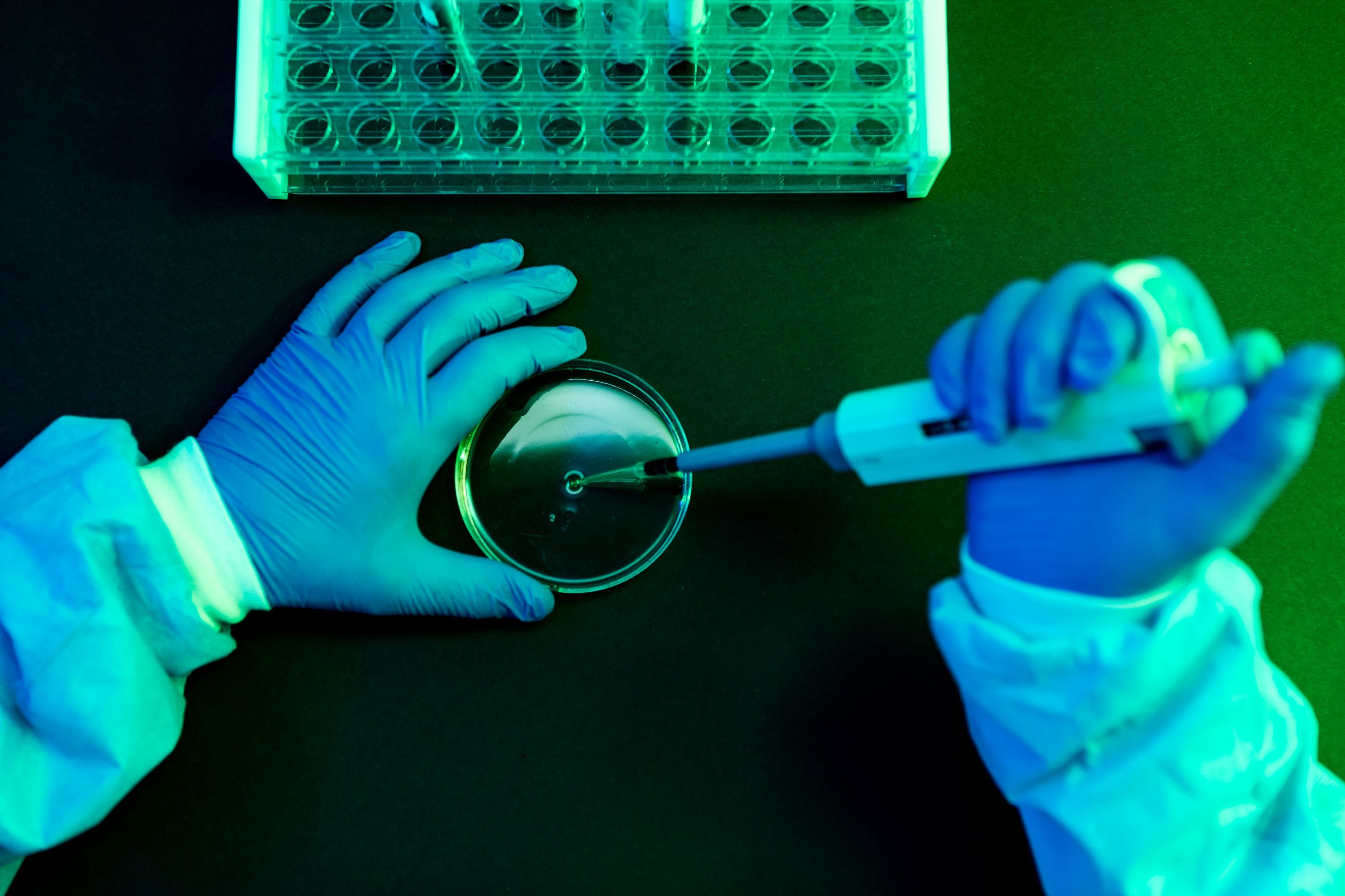 What to Know About Shamonda Virus Following the First Reported Human Infection — Wired, Ponte Vedra Beach Technology news