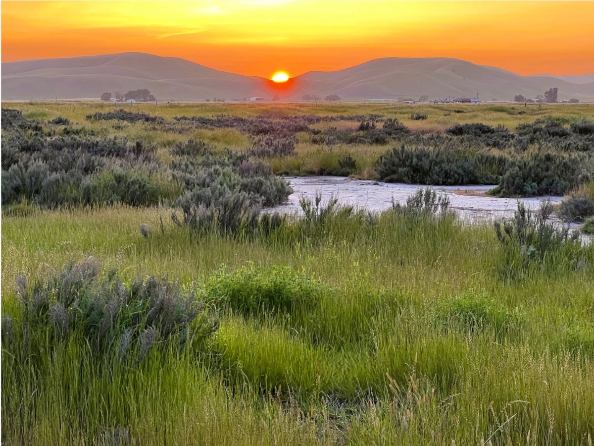 331 Acres Of Tri-Valley Wildlife Habitat, Open Space Permanently Protected — Danville Patch, Ponte Vedra Beach Community news